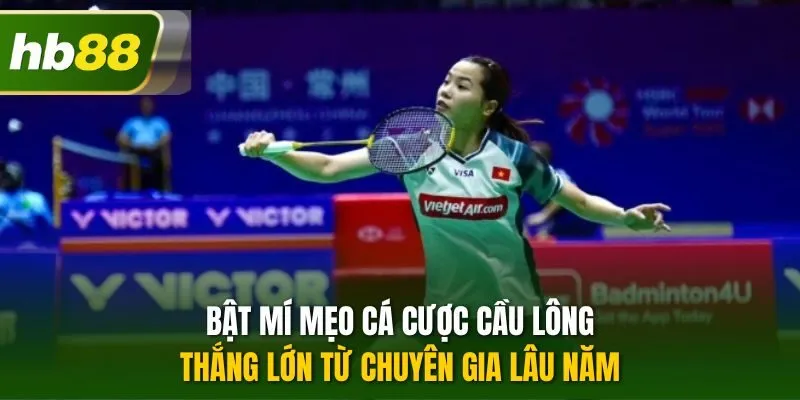 Bật mí mẹo cá cược cầu lông thắng lớn từ chuyên gia lâu năm