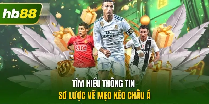 Tìm hiểu thông tin sơ lược về mẹo kèo châu Á